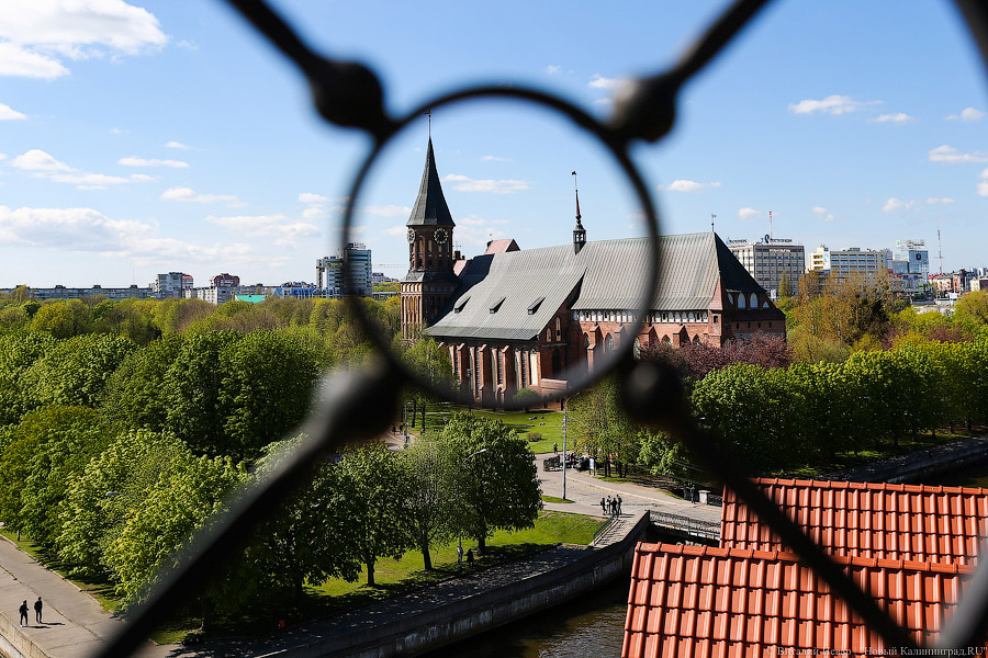 «Сейчас это крайне неактуально»: калининградские власти отказались от сотрудничества с Европой
