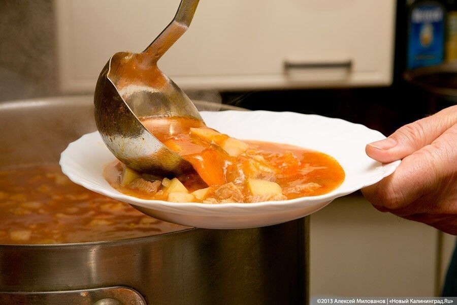 В Калининграде детей военных, принимающих участие в СВО, не обеспечили бесплатным питанием