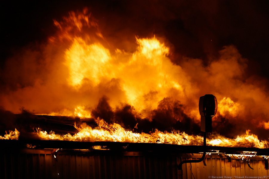 Арестован владелец сгоревшего кафе «Полигон» в Костроме, депутат местной облдумы