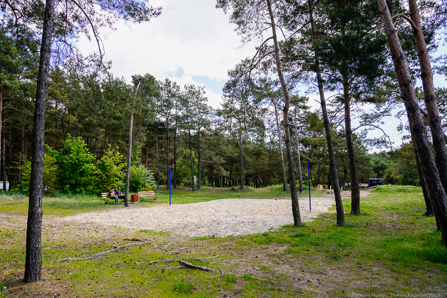 Власти Калининграда пообещали возместить стоимость путевок в лагерь «Огонёк»