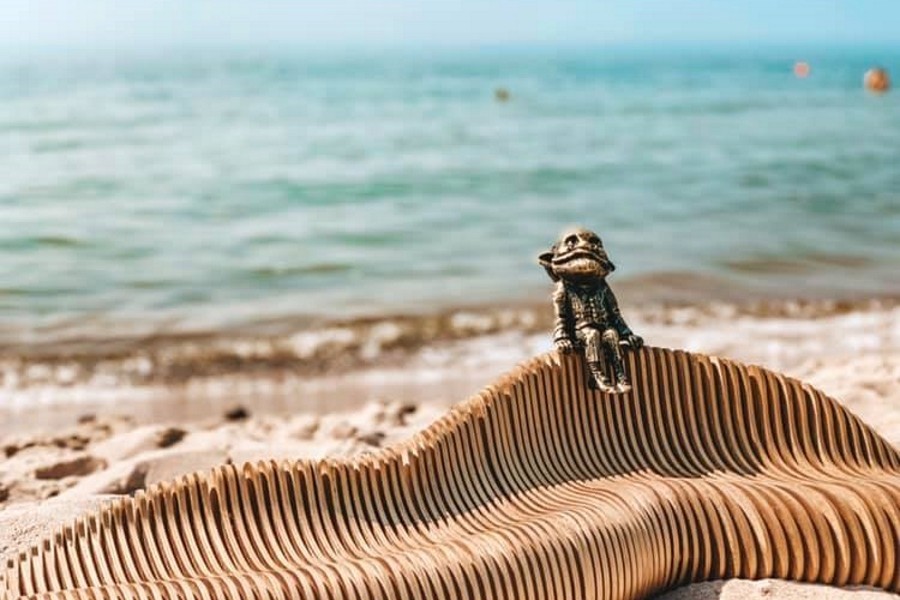 На пляже в Янтарном появился хомлин (фото)