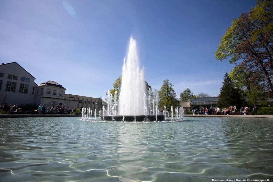 Калининградцев приглашают на «Феерическую зоодемонстрацию»