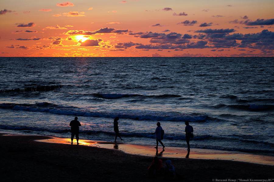 От 50 тысяч рублей: в приложении Go Kaliningrad запускают продажу сертификатов  на отдых в Калининграде