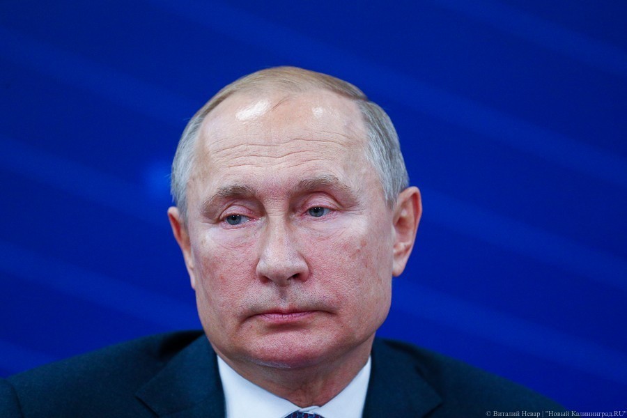 Путин поручил разработать учебные курсы по генетике для школ