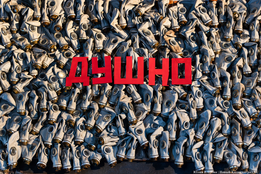 Разгуляй и властвуй: строим планы на выходные с 15 по 17 сентября