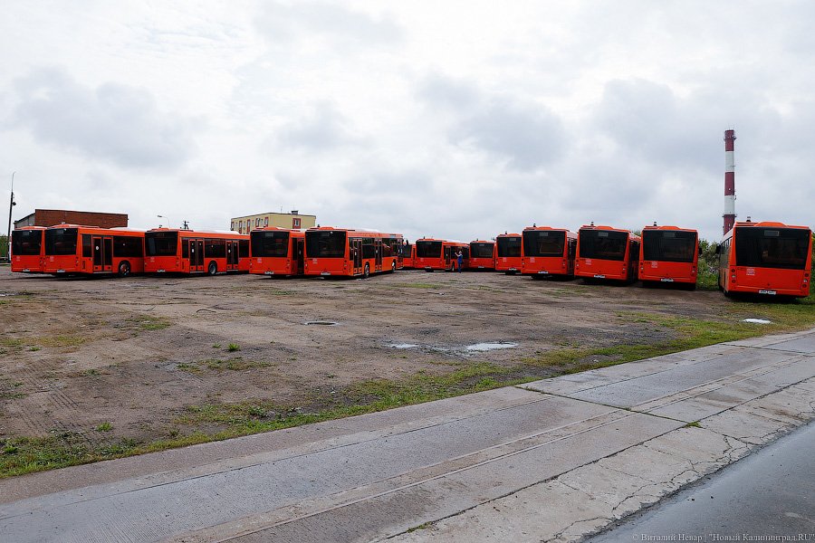 Ершов: во всех автобусах «ГорТранса» есть кондиционеры, но их пока не включают