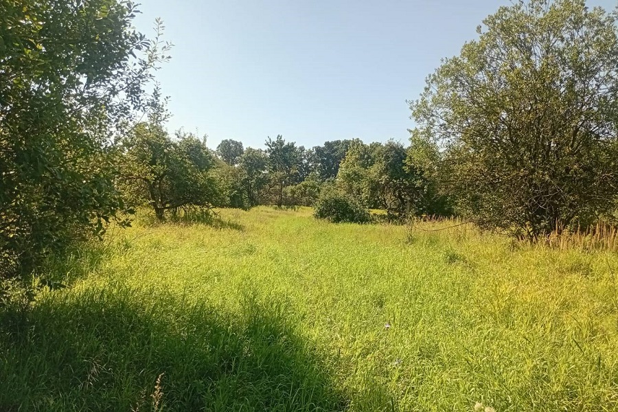 В Правдинском районе участки для многодетных оказались без подъезда и инфраструктуры