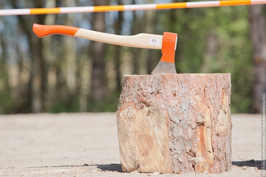 В Большаково женщина топором зарубила племянника сожителя и закопала во дворе