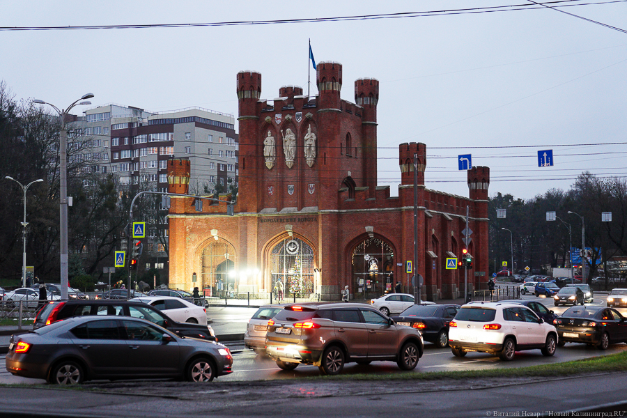 В Музее Мирового океана устроят «Неделю Прусского кота»