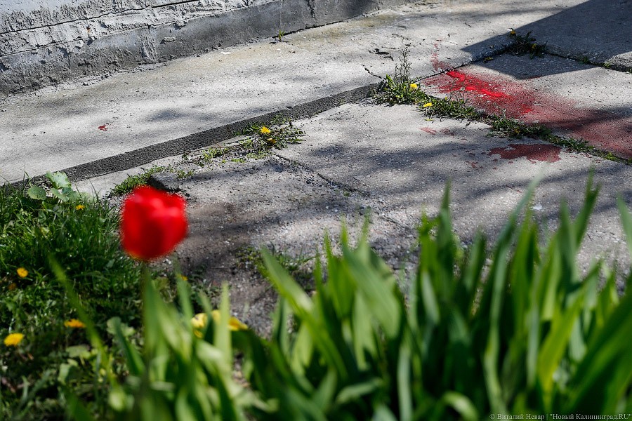 В Калининграде погиб выпавший из окна ветеран ВОВ