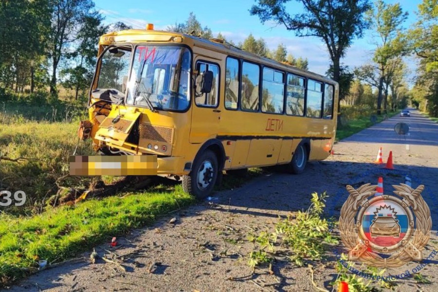 В Неманском р-не школьный автобус врезался в дерево, пострадали несовершеннолетние