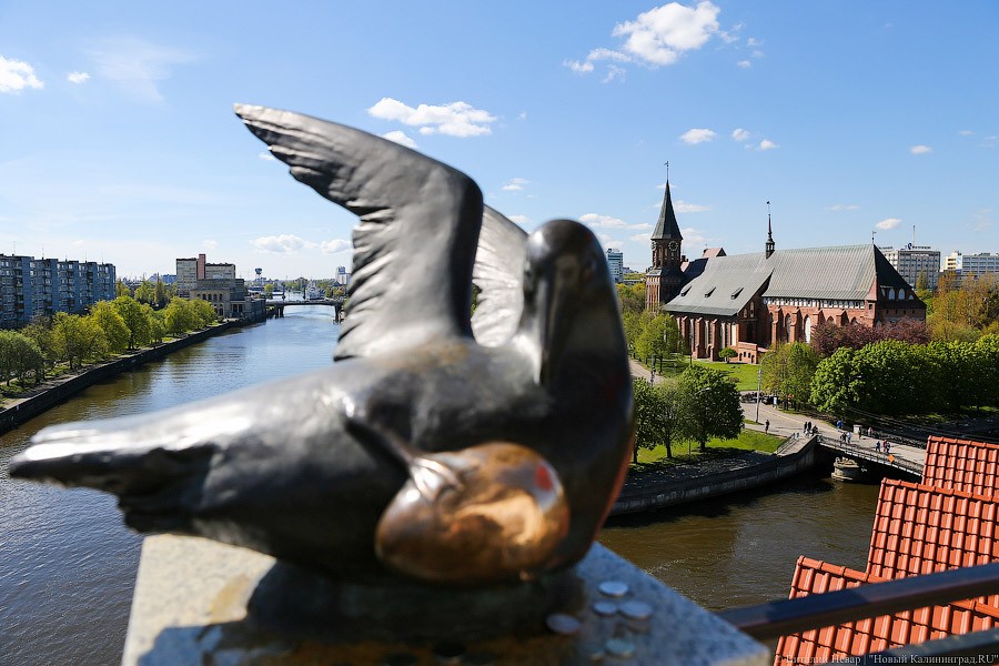 Кусков: калининградская особая зона лучше ТОРов, потому что ближе к центру