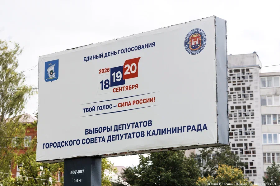 Найди кандидата: кто баллотируется в Горсовет Калининграда по округам № 1-15