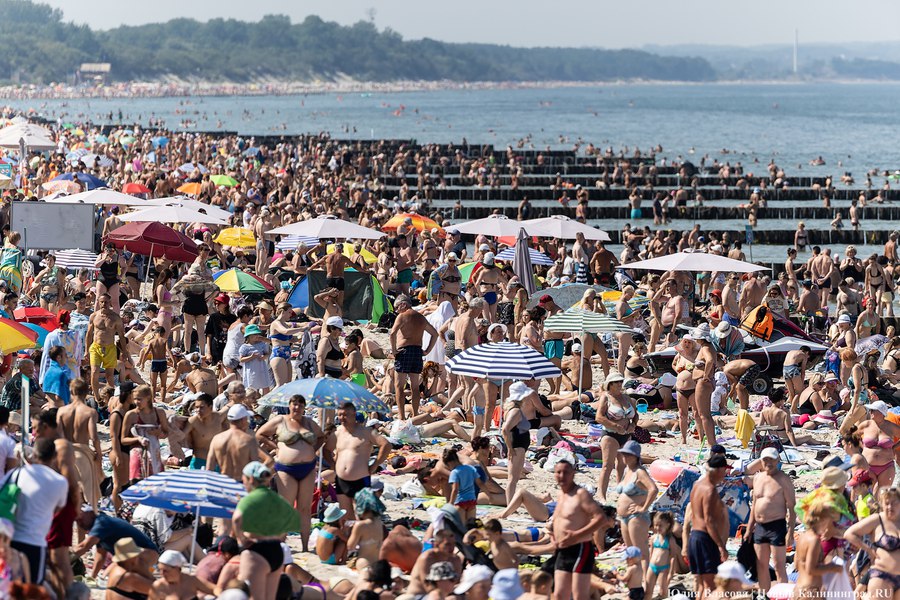 Погода в Калининградской области 2 сентября