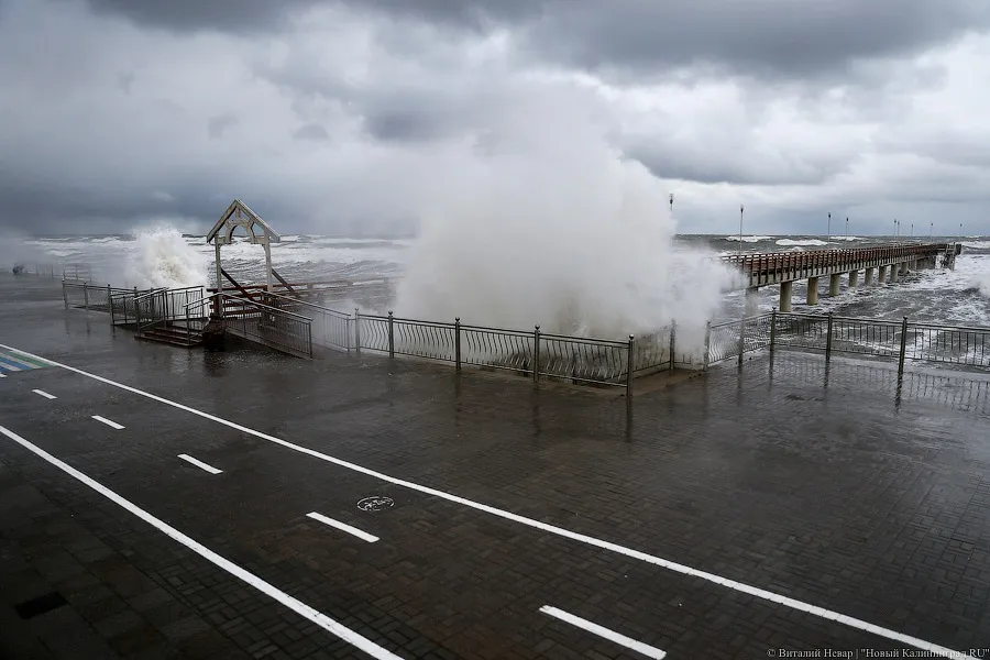 Самый холодный день недели: погода в Калининградской области 26 апреля