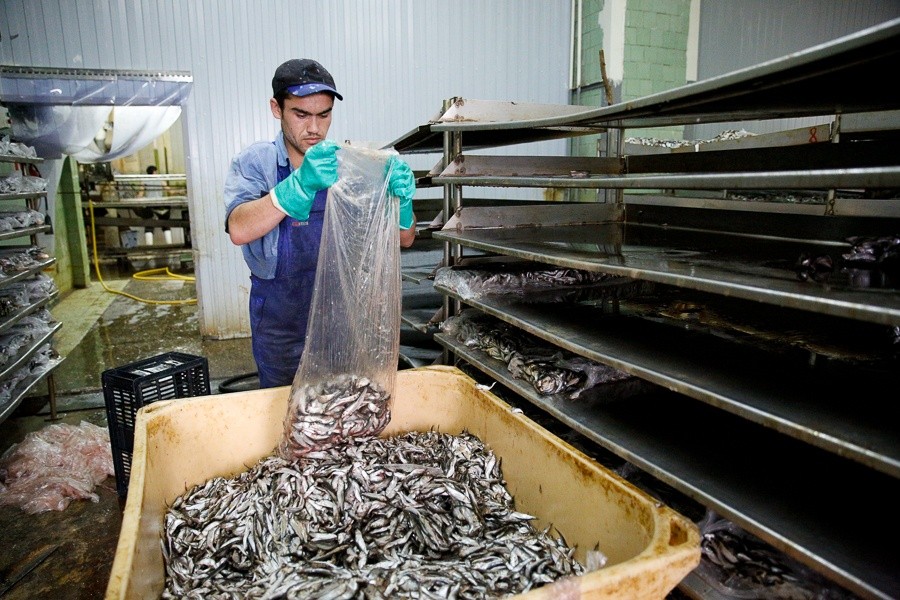 С начала года российские компании «вывели из тени» 810 тысяч сотрудников