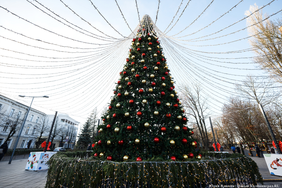 Россиян ждут 12 дней новогодних каникул 