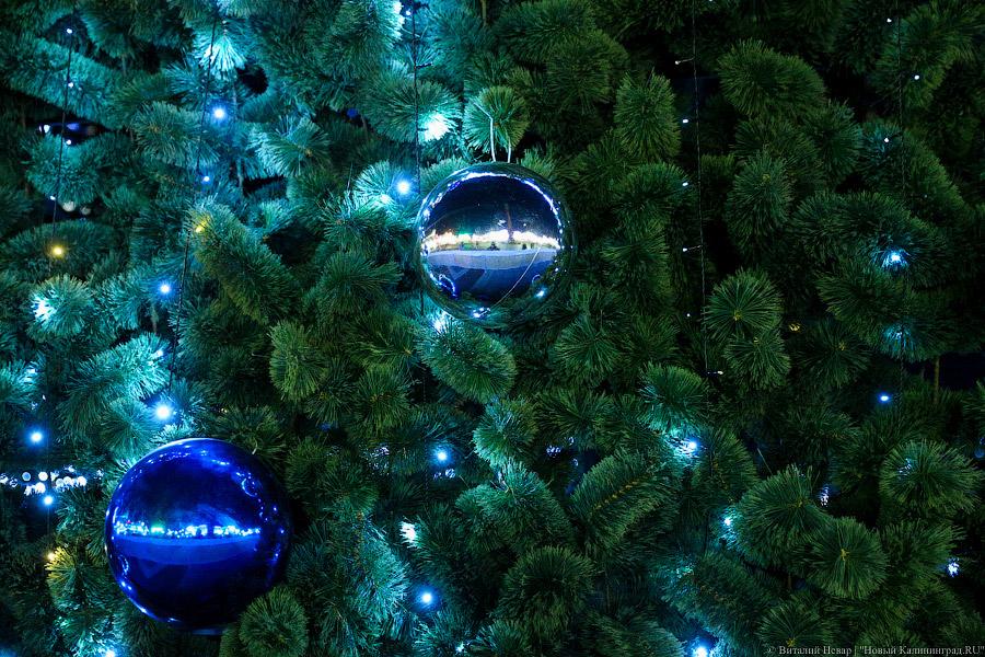 Алиханов: в новогодние праздники в Калининграде было около 490 тыс. иногородних