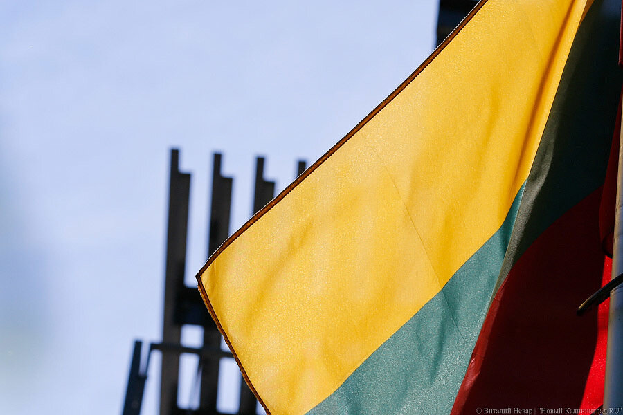 Литва просит ЕС ввести против Белоруссии санкции из-за подавления протестующих