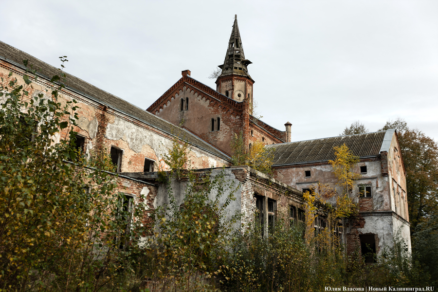 «Заходить через смыслы»: собственник Алленберга рассказал о будущем бывшей психбольницы