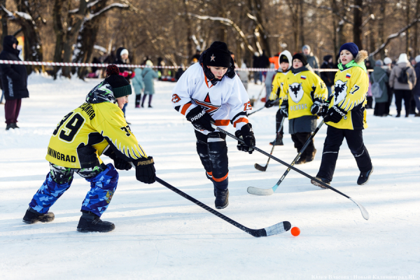 Лёд для побед и пламя эмоций: как в Калининграде прошёл День зимних видов спорта