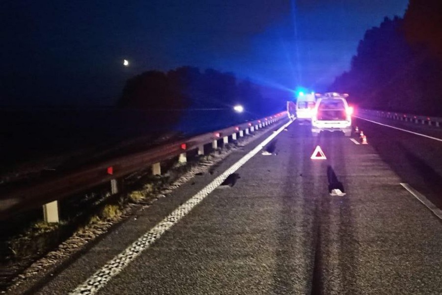 В Гвардейском районе насмерть сбили велосипедиста (фото)