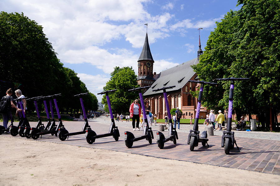 Елена Дятлова надеется навести порядок с самокатами в Калининграде «до конца года»