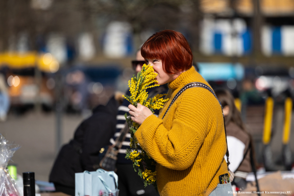 Мимозно-тюльпанный ажиотаж: Калининград накрыла традиционная цветочная лихорадка (фото)