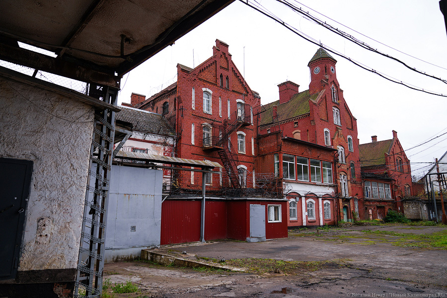 Турфирмы недовольны подорожанием экскурсий в Тапиау 