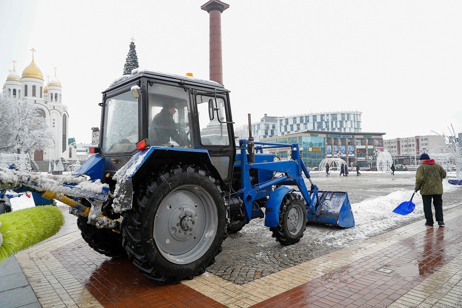 В Калининграде уволилась директор «Чистоты»