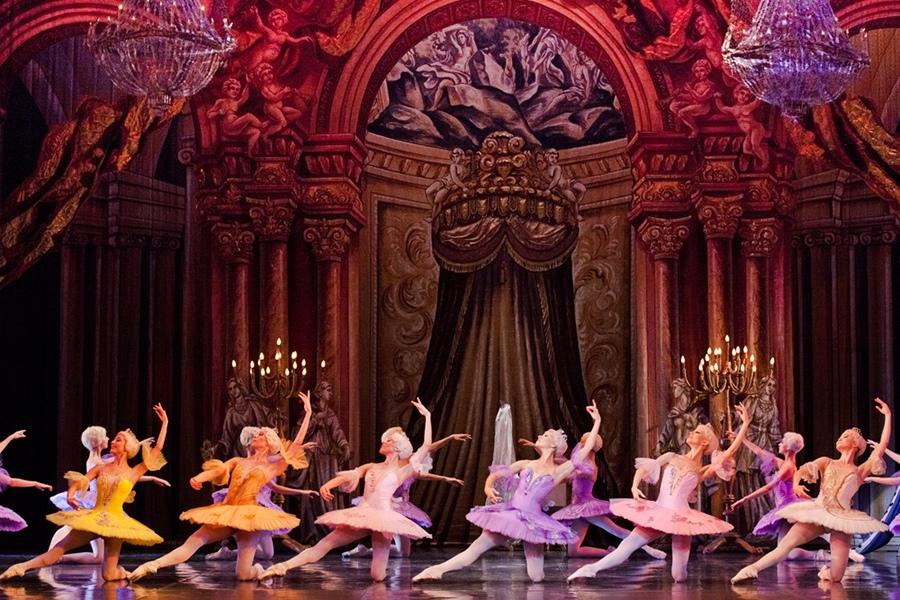 Калининградцы впервые увидят удивительные спектакли знаменитого «La Classique»