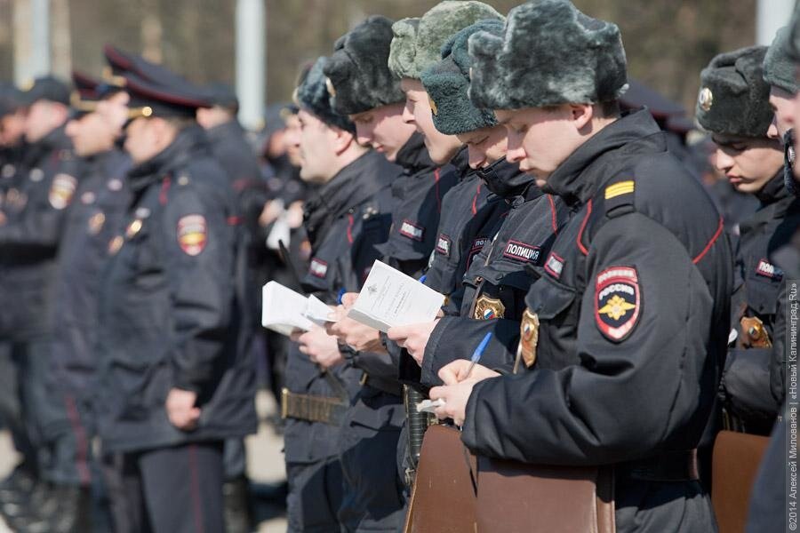 Калининградская полиция покупает за 6,4 млн комплексы для проверки иностранцев