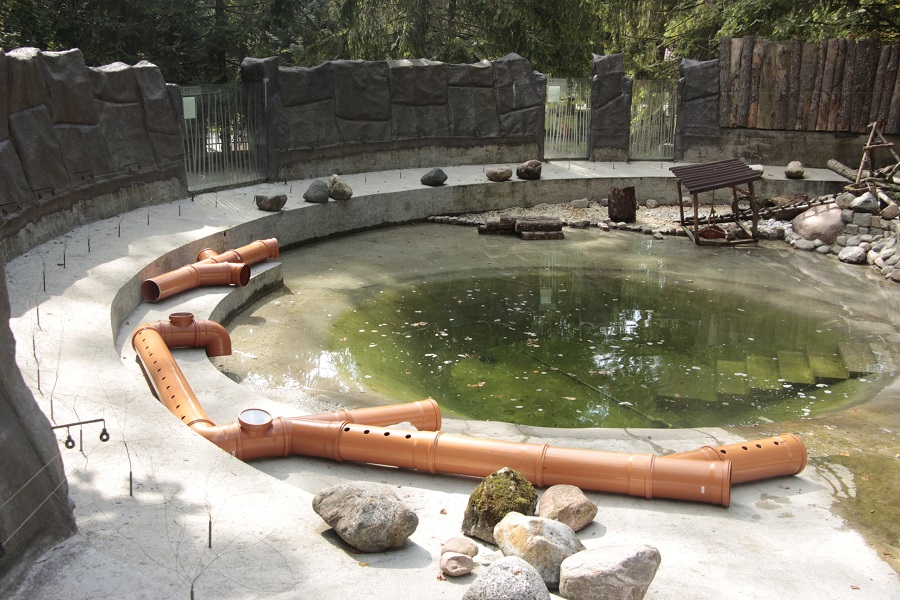 В Калининградском зоопарке появился «выдропровод» (фото)