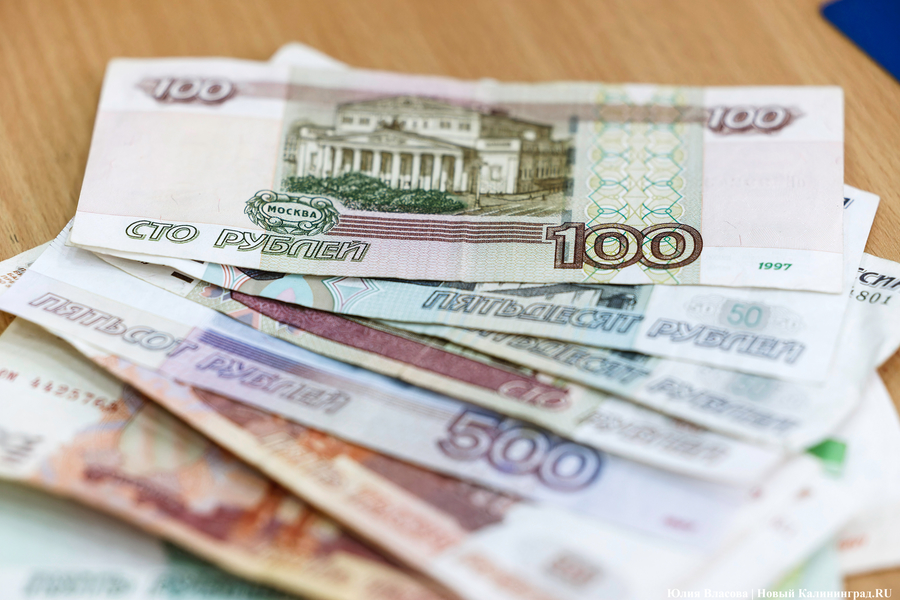 Двух калининградок обвиняют в мошенничестве при заключении соцконтракта на разведение скота