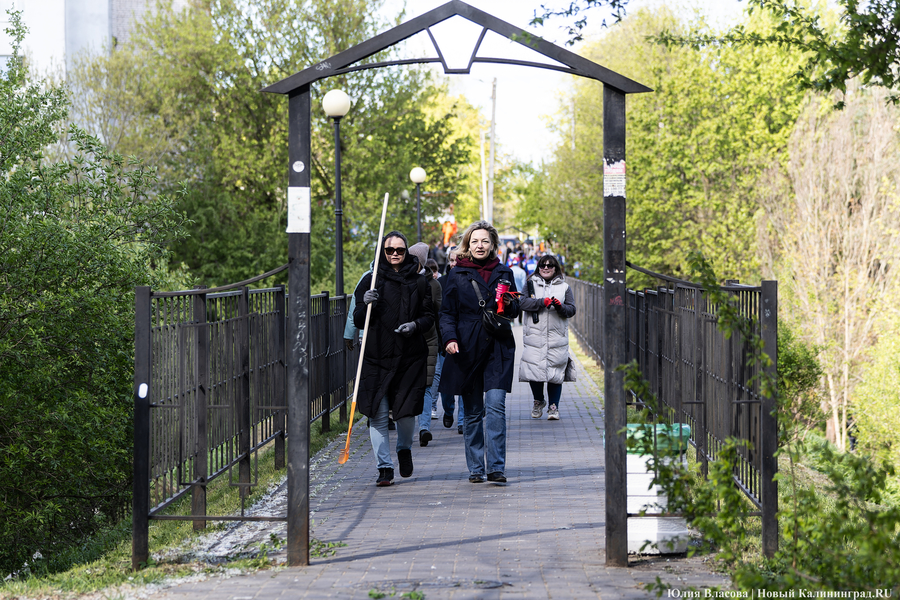 Почистить ручей Воздушный в Калининграде смогут лишь через четыре года