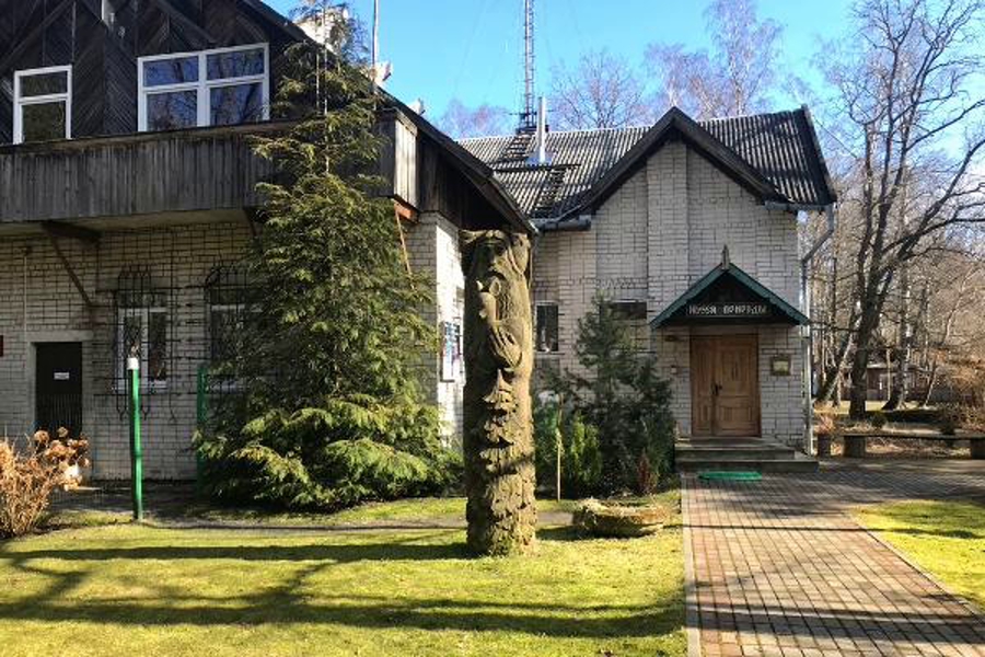 В Светлогорске ищут арендаторов для музея природы