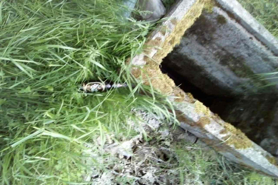 СК: мужчину, труп которого нашли в колодце в Черняховске, задушили