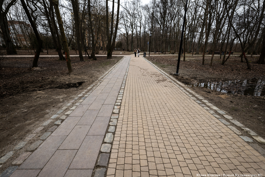 Экспертиза одобрила проект детской и спортивной площадок в Ашманн-парке