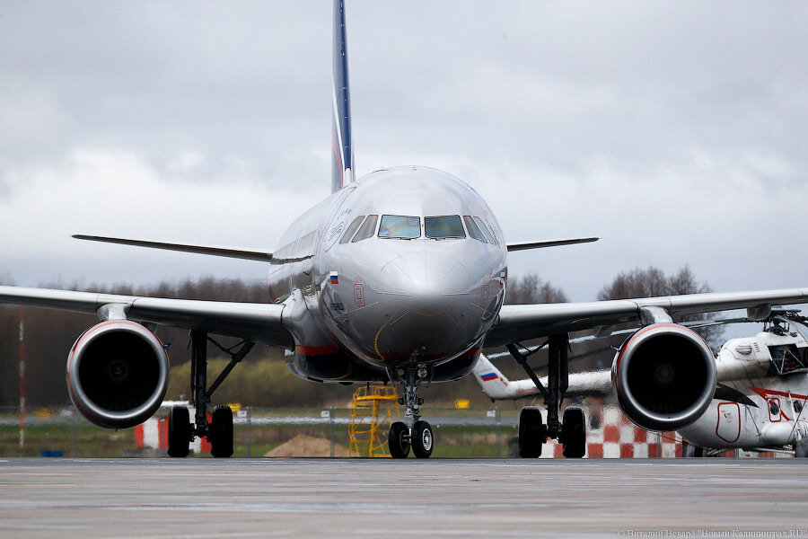 Рейсы из Ижевска в Калининград передали S7 и Nordwind