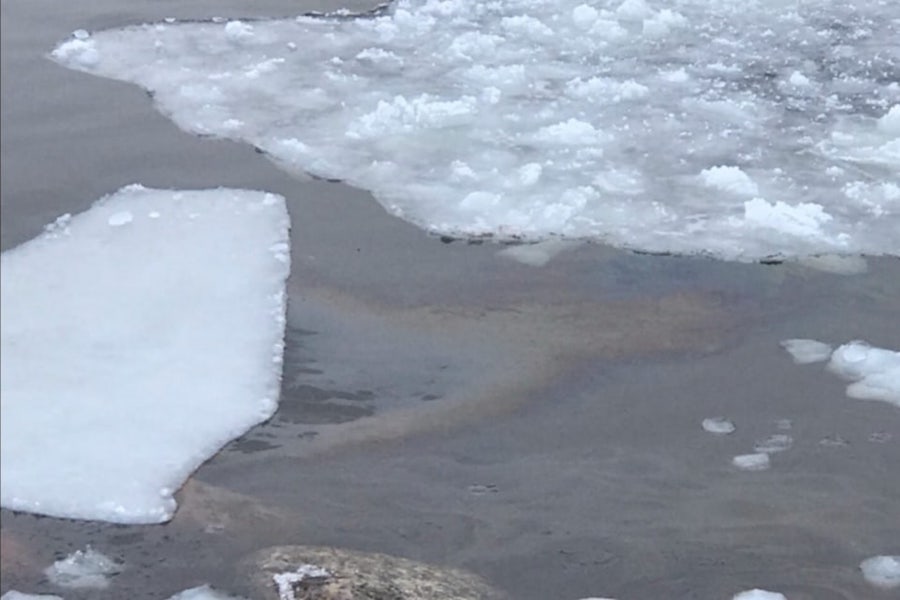 У гостиницы «Золотой якорь» в Балтийске нашли еще одно мазутное пятно (фото)
