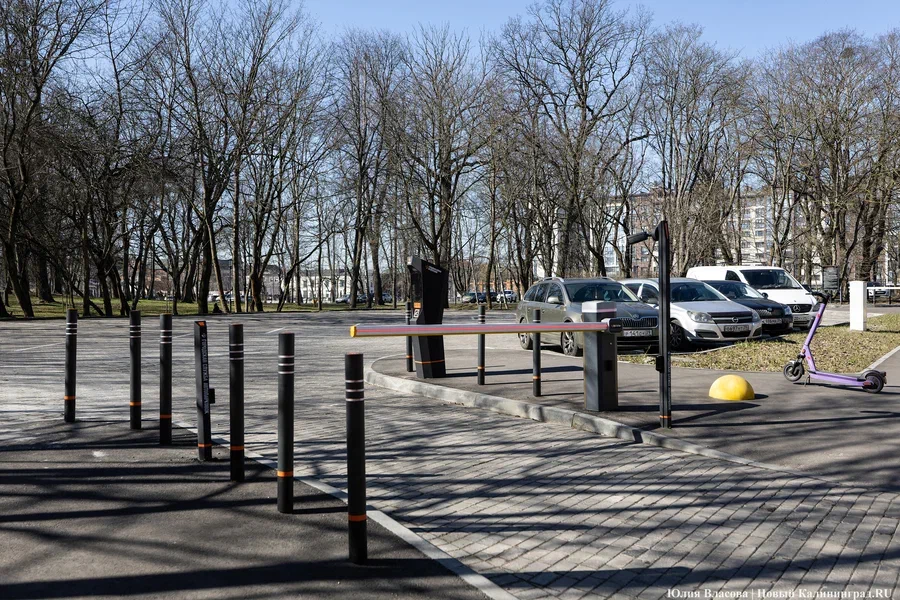 Власти рассказали, сколько заработали на муниципальных парковках в 2025 году