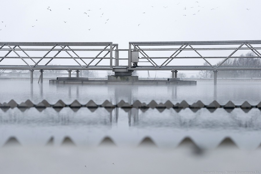 На хромой ноге по свалке: как Алиханов и Ярошук экологией занимались
