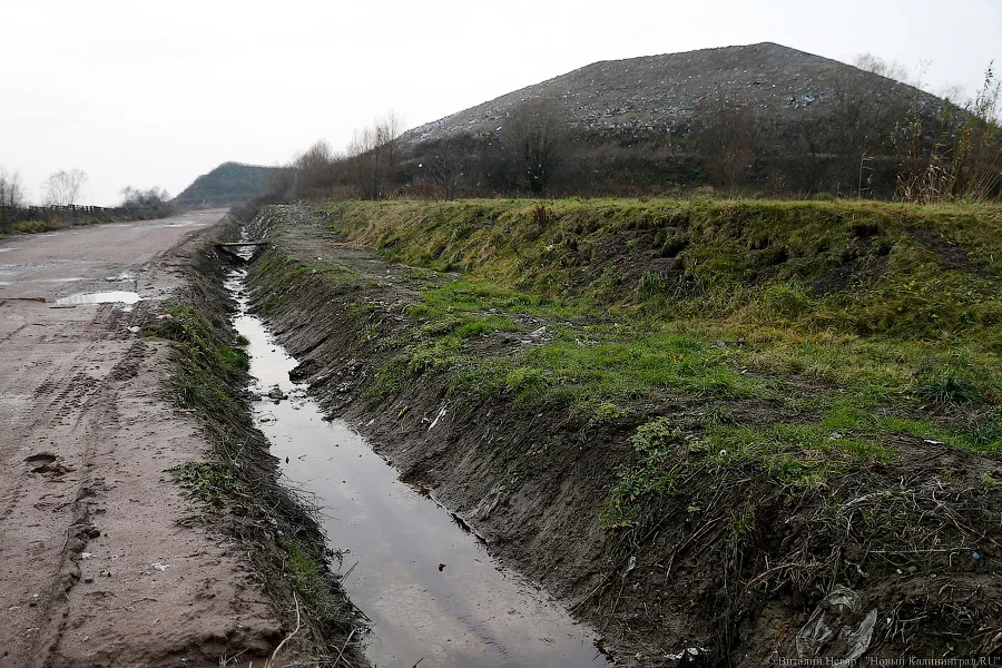 Дятлова: на полигоне у Балтийского шоссе нужно строить систему сбора фильтрата