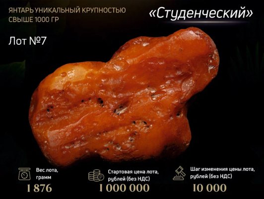 Калининградский янтарный комбинат выставил на аукцион уникальные самородки (фото)
