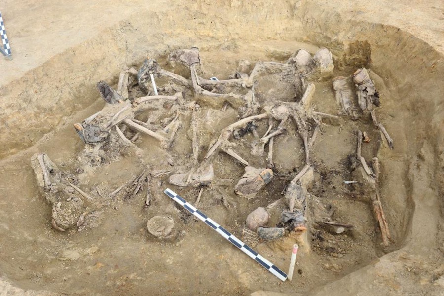 Найдены родственники первого красноармейца, останки которого обнаружили в воронке под Вилкау (фото)