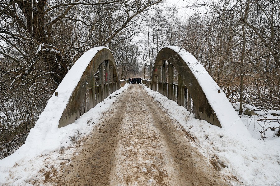 Власти выдали разрешение на реконструкцию ул. Дачной в Калининграде