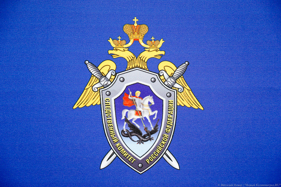 На блогера-миллионника Валерию Чекалину (Lerchek) завели уголовное дело о неуплате налогов