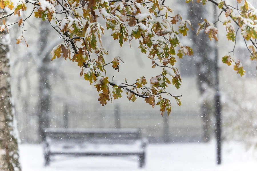 МЧС: в Калининградской области закончилась аномально холодная погода