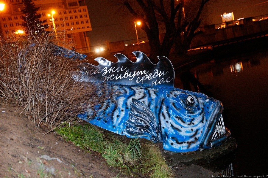 Алиханов назвал синюю рыбу на Нижнему пруду в Калининграде «аниме от Гофмана»