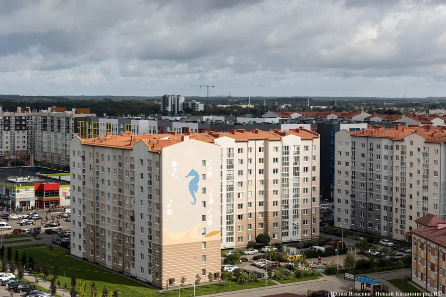 Затишье после всплеска: рынок недвижимости региона меняется вслед за повышением ключевой ставки